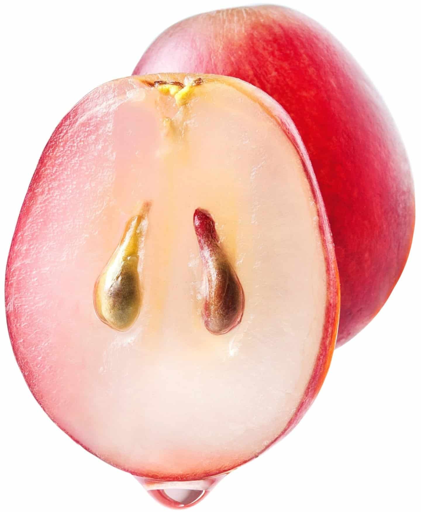 1b9674c5837ea34bf852249fa88b1e28 min